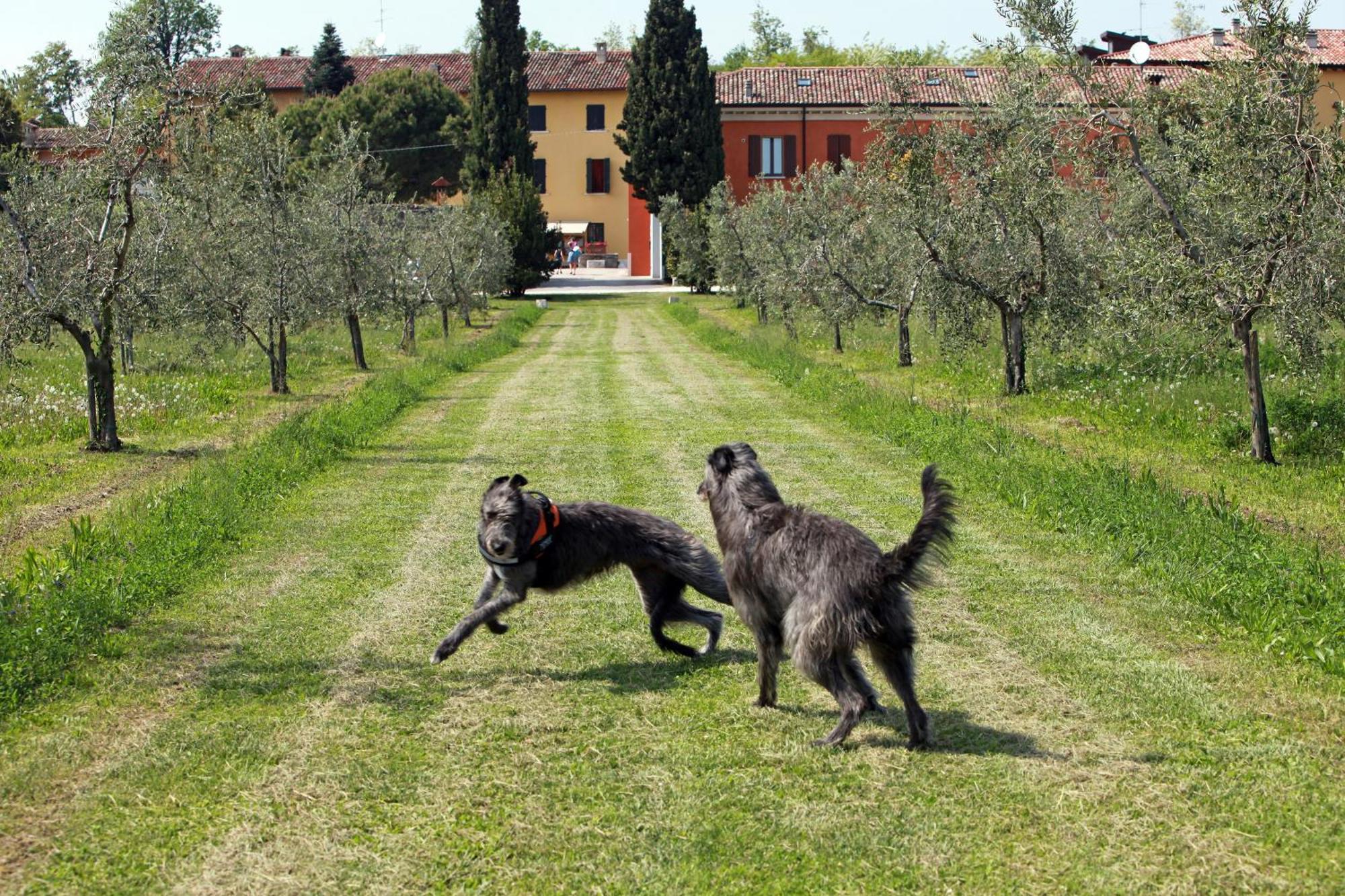 Agriturismo La Filanda Manerba del Garda Exterior photo